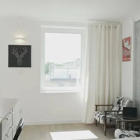 Bizzi Luxcenter View Apartment *